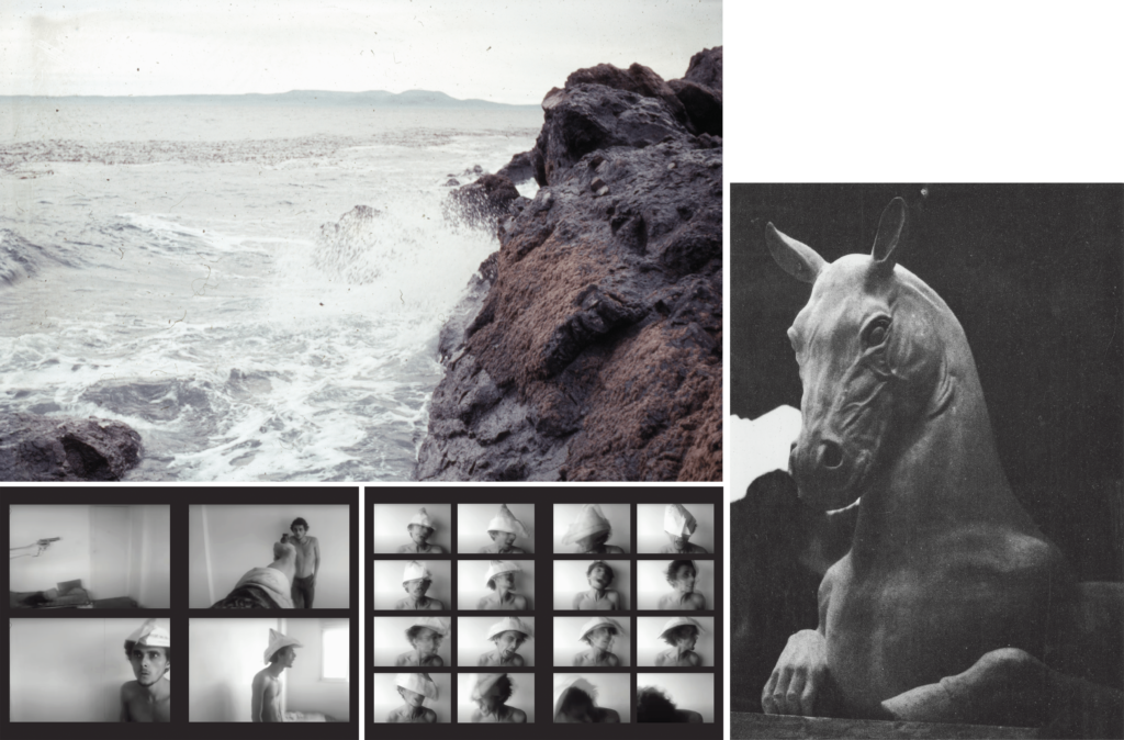 Série de diferentes fotografias. Na parte superior esquerda, uma foto paisagem do mar com
ondas arrebentadas em uma montanha rochosa com tons terrosos. Na parte inferior, quatro
fotos miniaturas em preto e branco, dividida em quatro blocos, em um ambiente interno. A
primeira: detalhe de mão que aponta um revólver. Em sequência, a arma está apontada
para um homem sem blusa, jovem e magro, encostado na parede, com os braços para trás.
E nas outras duas fotografias, ele está com um chapéu de papel sobre a cabeça.Em uma
fotografia com os olhos arregalados e a outra de perfil, com os olhos fechados.
Ao lado, ainda na parte inferior esquerda, uma sequência de 16 fotos 3x4 em preto e
branco, divididas por quatro fileiras e quatro blocos do homem sem camisa, com o chapéu
de papel na cabeça. Ele faz várias expressões semelhantes a de um grito e a imagem
aparece borrada. Do lado direito, foto de um cavalo, em destaque o rosto, com olhar
compenetrado. Ele aparenta ter uma mão humana e uma pata sobre um muro à frente da
região do tórax.