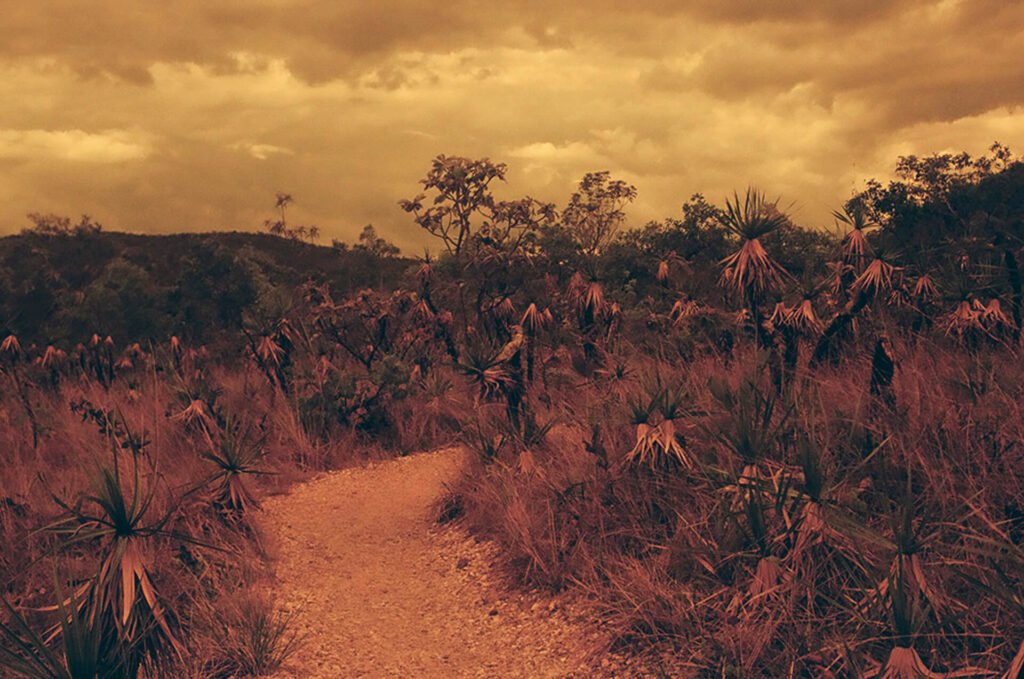 Fotografia retangular em tom âmbar de uma trilha estreita de chão batido que segue à direita. Ela é contornada por intensa vegetação nativa do cerrado. Ao longe, do lado esquerdo, um morro com árvores na parte superior. O céu está encoberto por nuvens claras no horizonte e escuras no topo. Roteiro de audiodescrição: Adamy. Consultoria: Ednilson Sacramento.