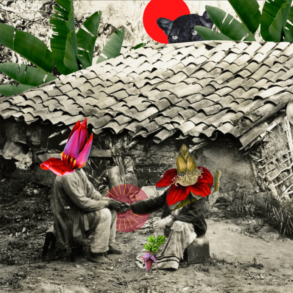 Retrato vertical em preto e branco com colagens. Em um quintal, duas pessoas sentadas em bancos baixos. Elas usam roupas largas e têm, sobre a cabeça, colagens de flores em tons de vermelho. A pessoa à esquerda segura a mão da pessoa à direita. As mãos unidas estão rodeadas por uma luz vermelha e desenhos de raios amarelos. Entre os pés da pessoa à direita, há uma colagem de cachos de bananas. As duas pessoas estão diante de uma casinha, que tem acima a colagem de um sol bem vermelho. Ao fundo da casinha, colagens de bananeiras altas e verdes, e de um grande gato preto de olhos cinza, que espreita detrás do telhado. Roteiro de audiodescrição: Claudia Guarnieri.
Consultoria: Cristiane Rufino.