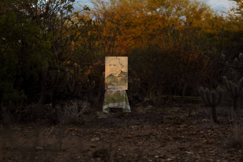 Foto paisagem. Ao fundo, quadro em tons de sépia do retrato de padre Cícero sobre uma mesinha coberta por uma toalha branca de estampa floral. O padre está de perfil, tem as sobrancelhas retas, olhos pequenos, nariz levemente rebaixado, queixo pequeno, usa uma batina preta. Ao redor, uma vegetação baixa com cactos, plantas rasteiras, pedrinhas, mato e árvores com folhas alaranjadas. Roteiro de audiodescrição: Larissa Tavares. Consultora: Lara Souto.