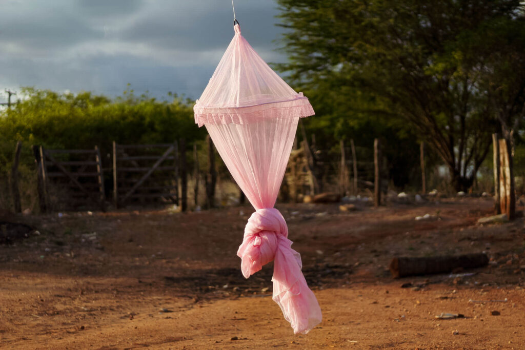 Um mosquiteiro de berço rosa bebê está pendurado em um varal, na ponta do mosqueiro um nó simples. Ao fundo uma cerca de galhos e uma porteira de madeira aberta. Do lado esquerdo uma vegetação média com folhas verde claro e do lado direito uma árvore com dossel volumoso. O céu tem nuvens cinzas. Roteiro de audiodescrição: Larissa Tavares. Consultora: Lara Souto.