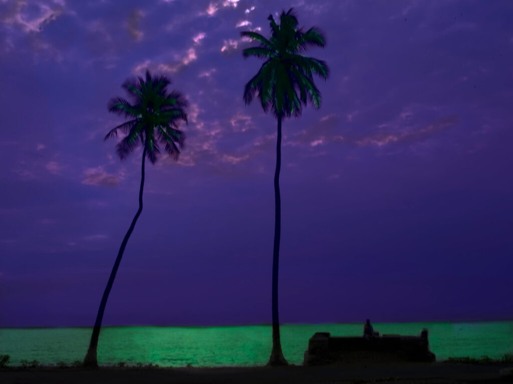 Foto paisagem de uma vista de praia. O céu com diversas nuvens revela uma pequena fresta de céu em lilás. dois coqueiros fazem sombra em meio a um mar esverdeado que prateia a fotografia. do lado direito a uma sombra retangular. 