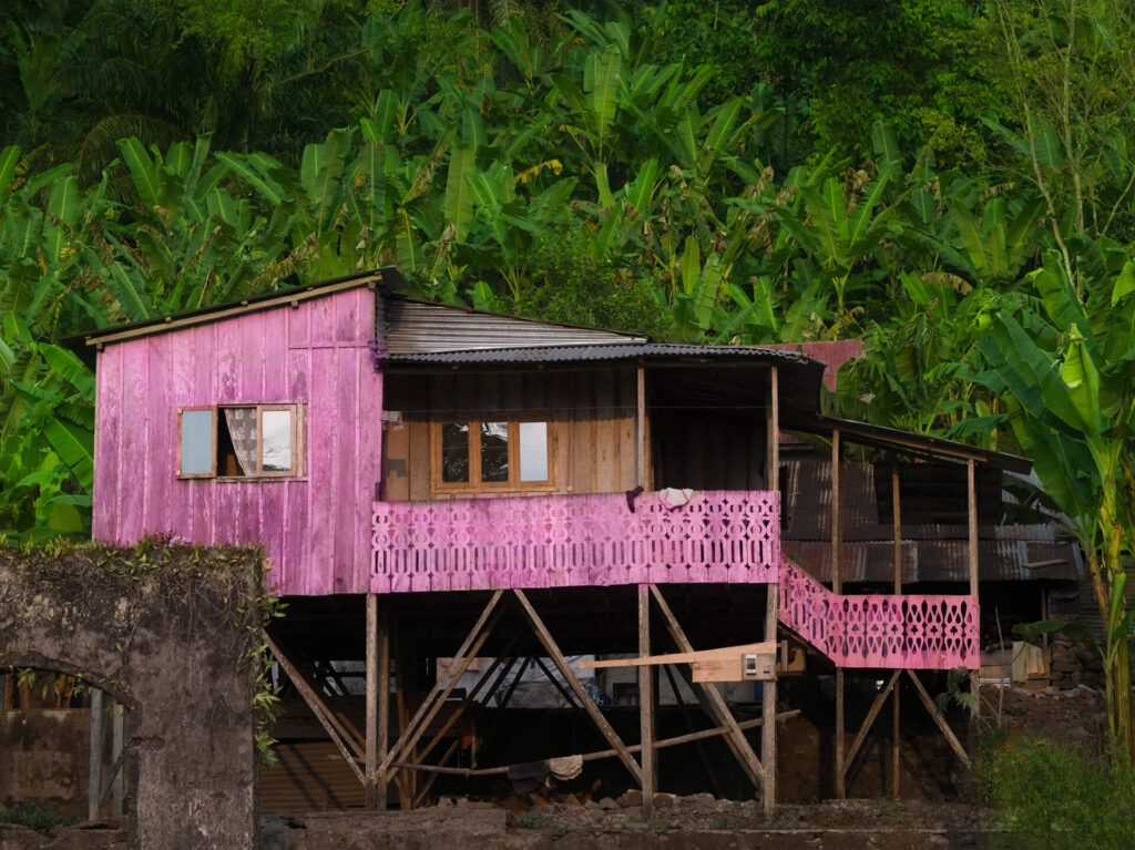 Foto paisagem de uma casa de palafitas rosa magenta em luz natural. A casa é grande com varanda e 2 janelas grandes. na parte inferior uma estrutura de concreto com vegetação baixo e ao fundo diversas bananeiras altas e com folhas verde escuro. 