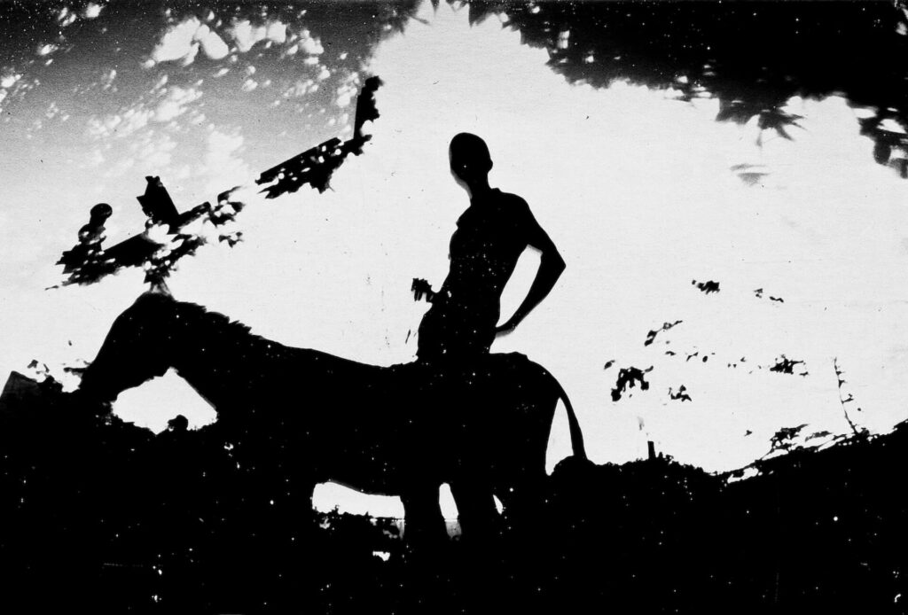 Fotografia paisagem, com sobreposição de fotos. No centro, em uma abertura branca e clara, uma pessoa ao lado de um cavalo. Ela tem aparência de homem,  é magra, tem cabelo bem curto e está com a mão apoiada no quadril e o tronco inclinado para frente. Ao redor, vegetação e copas de árvores, algumas estão com as sombras projetadas. 