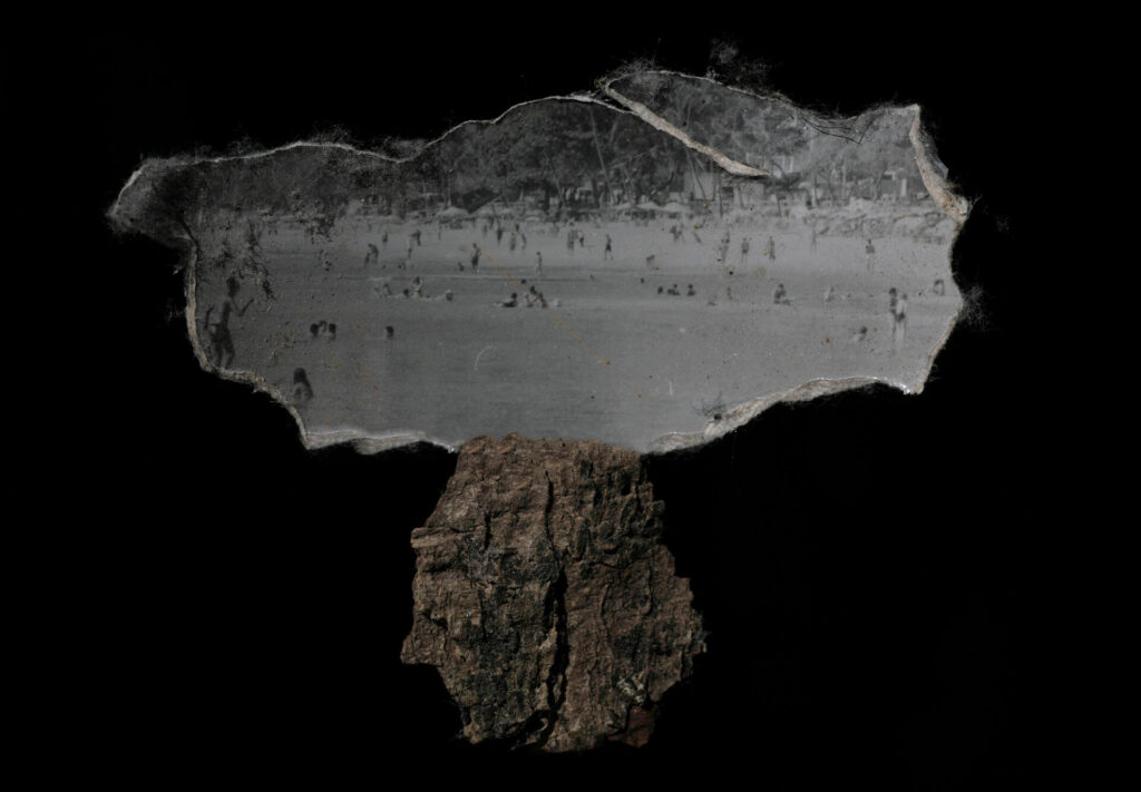 Fotografia retrato. Sofre fundo preto, colagens formam a silhueta de uma árvore. O tronco da árvore é representado por um pedaço de casca envelhecida, marrom e áspera. Uma
copa frondosa representada por um recorte fotográfico de uma paisagem cinza e branca, com diversas pessoas na praia. Roteiro de audiodescrição: Vanessa Marques. Consultoria: Jéssica Morais.
