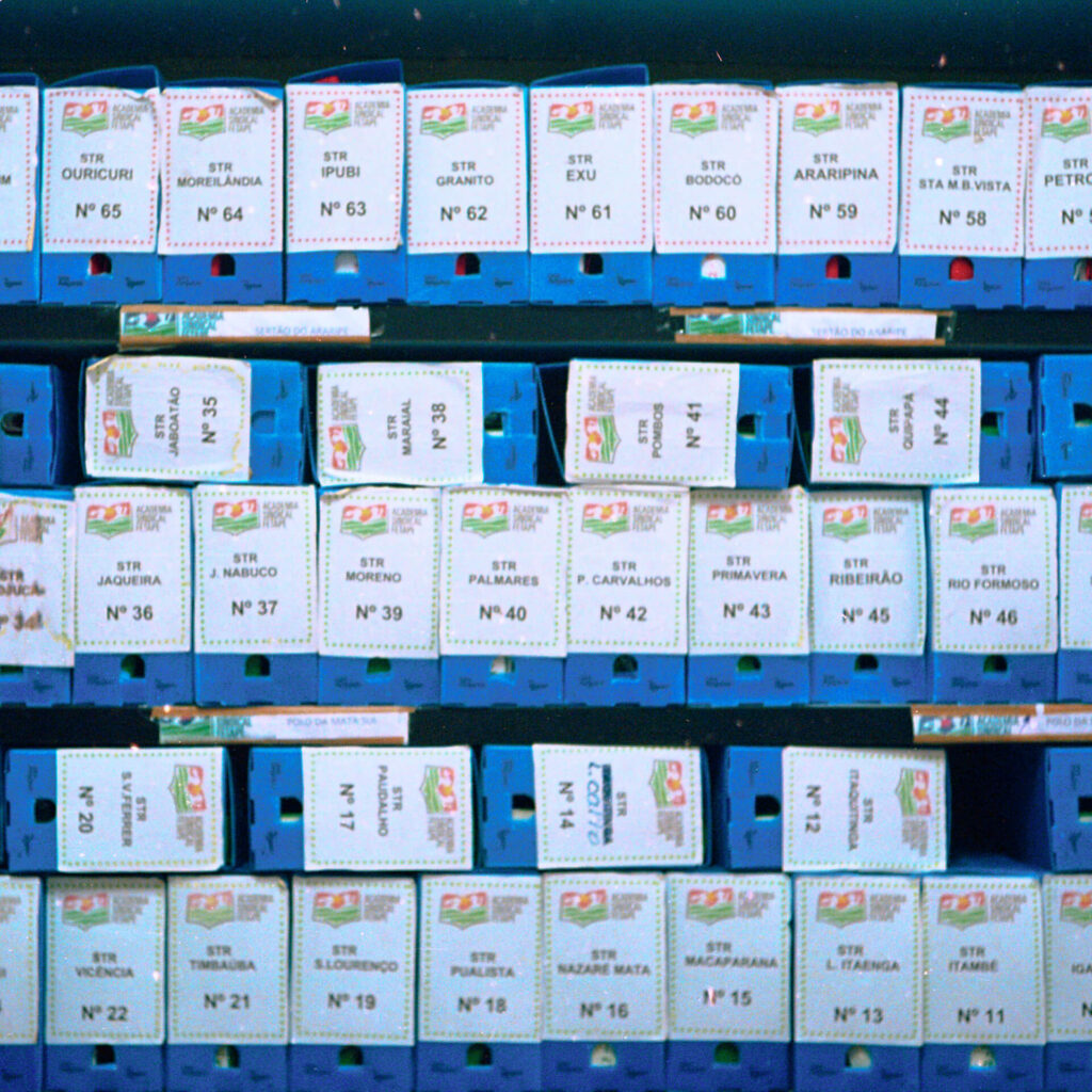 Fotografia de três fileiras horizontais de pastas arquivos azuis com identificação
branca e letras pretas, organizadas na vertical e algumas na horizontal.