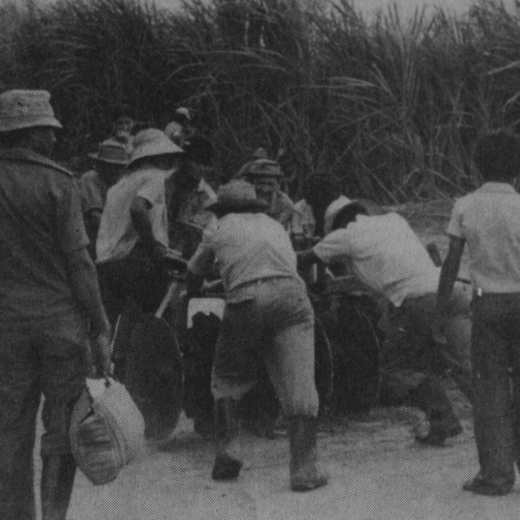 Foto de uma fotografia antiga, preta e branca, de trabalhadores em um canavial. Do
lado esquerdo, em pé e de costas, um homem segura uma sacola de feira bem

cheia. Ao centro, alguns trabalhadores sentados em uma máquina agrícola e outros
a empurram. Eles usam chapéus, camisas de mangas compridas dobradas na
altura dos cotovelos e calça por dentro de botas de cano alto. À direita um homem
em pé e de costas, com camisa de manga curta, calça larga e chinelo, observa. Ao
fundo um canavial.
